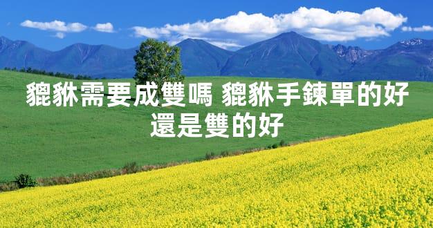 貔貅需要成雙嗎 貔貅手鍊單的好還是雙的好